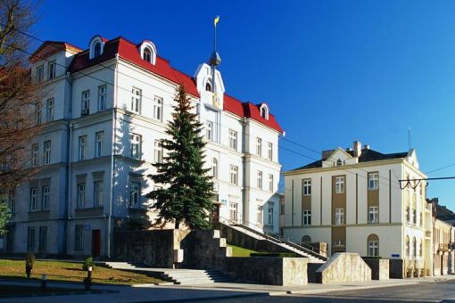 Проміжні результати антикорупційної програми в Луцьку